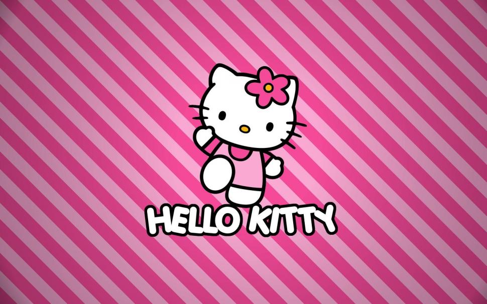 Hello Kitty, Cartoon, Pink, Cat, Flower wallpaper,hello kitty wallpaper,cartoon wallpaper,pink wallpaper,cat wallpaper,flower wallpaper,1440x900 wallpaper