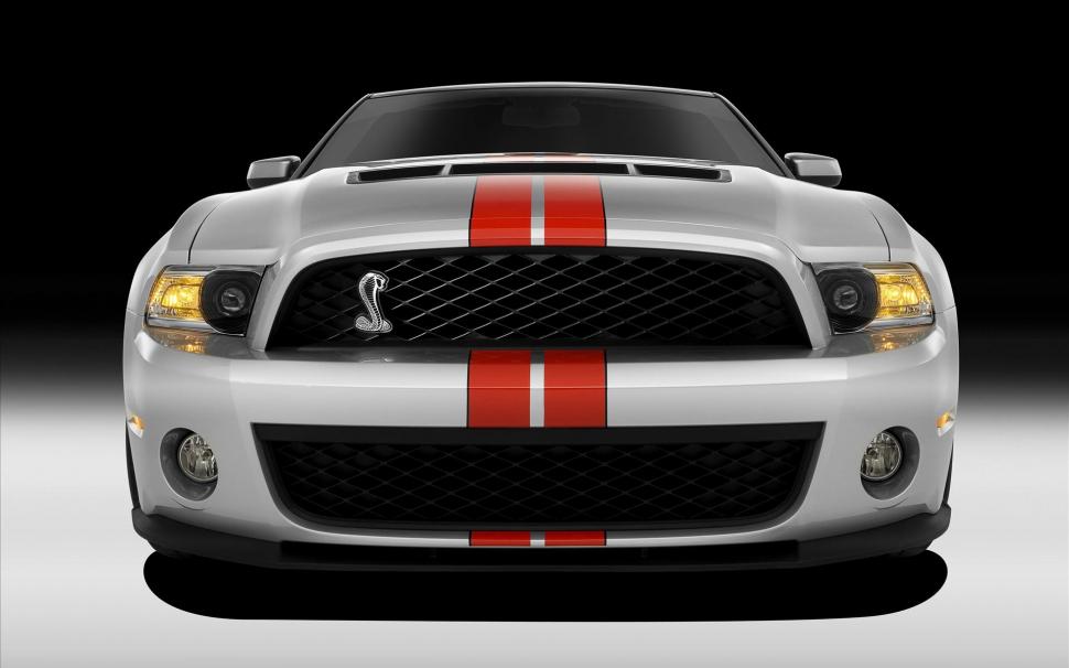 2011 Ford Shelby GT500 2 wallpaper,ford HD wallpaper,shelby HD wallpaper,gt500 HD wallpaper,2011 HD wallpaper,1920x1200 wallpaper