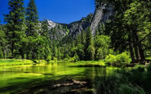 Yosemite National Park, California, USA, lake, green trees, mountain wallpaper thumb