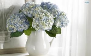 A Vase Of Lovely Hydrangeas wallpaper thumb