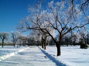 Winter, snow, frost, trees, road wallpaper thumb