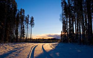 Winter, sunrise, snow, trees, forest, road wallpaper thumb