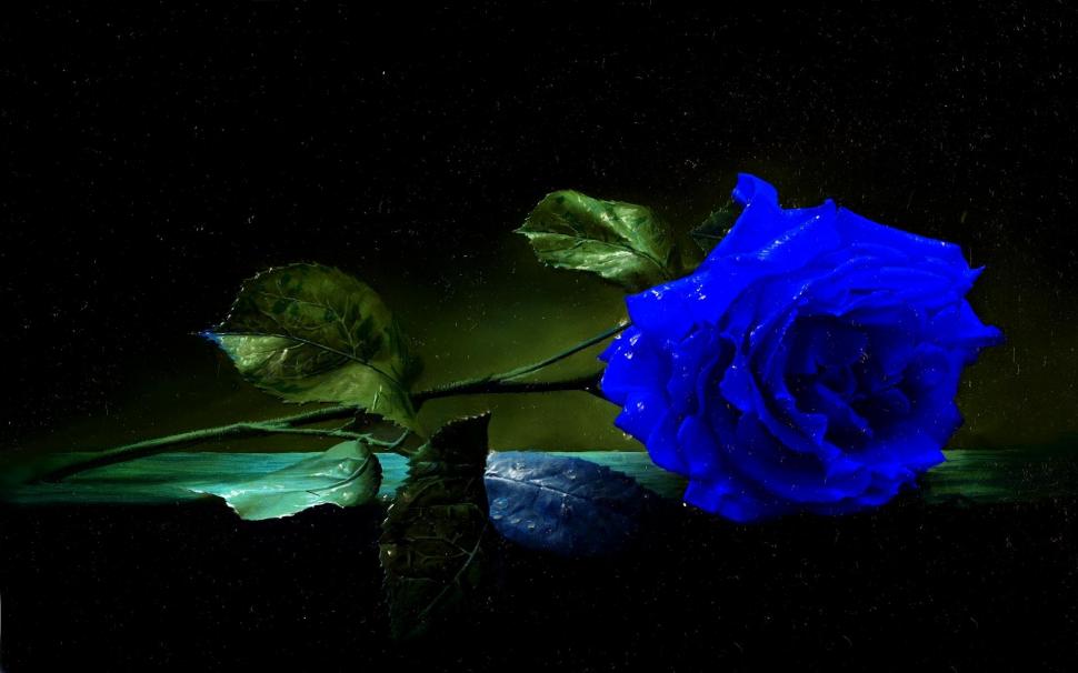 A Blue Rose wallpaper,leaves HD wallpaper,blue HD wallpaper,table HD wallpaper,stem HD wallpaper,rose HD wallpaper,3d & abstract HD wallpaper,1920x1200 wallpaper