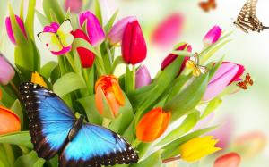 Flowers, beauty, butterflies wallpaper thumb