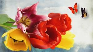 Colorful Spring Tulips wallpaper thumb