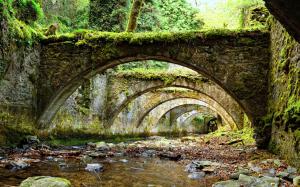 Bridge Arch Overgrowth Forest Stream HD wallpaper thumb