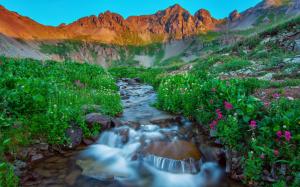 USA, Silverton, Colorado, morning, mountains, summer, stream, rocks, flowers wallpaper thumb