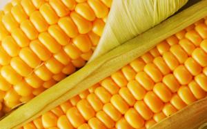 It's Corn wallpaper thumb