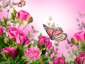 Pink roses, flowers, butterflies wallpaper thumb