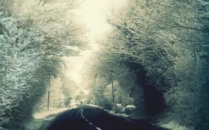 Road Passing Through the Snowy Forest wallpaper thumb
