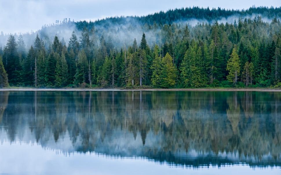 Lake, Forest, Mist, Reflection, Nature wallpaper,lake wallpaper,forest wallpaper,mist wallpaper,reflection wallpaper,nature wallpaper,1600x1000 wallpaper,1600x1000 wallpaper