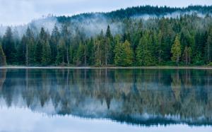 Lake, Forest, Mist, Reflection, Nature wallpaper thumb
