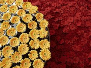 Floral Art Exhibition HD wallpaper thumb