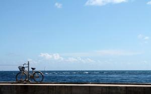 Bicycle on the pier wallpaper thumb