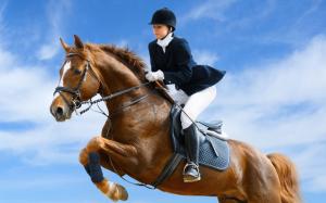 Jockey horse jump wallpaper thumb
