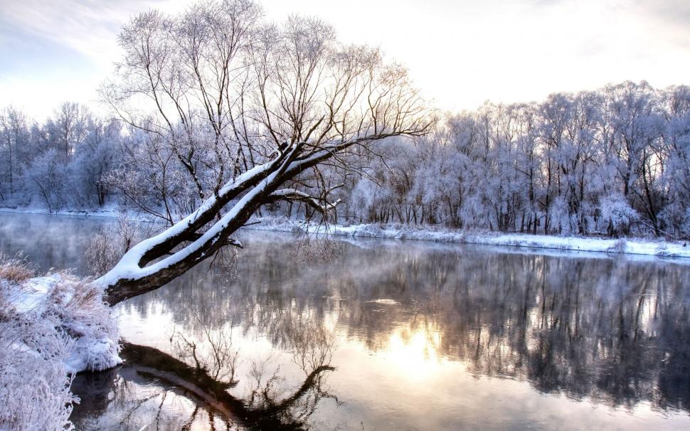 Trees River Snow Winter Reflection HD wallpaper,nature HD wallpaper,trees HD wallpaper,snow HD wallpaper,winter HD wallpaper,reflection HD wallpaper,river HD wallpaper,2560x1600 wallpaper