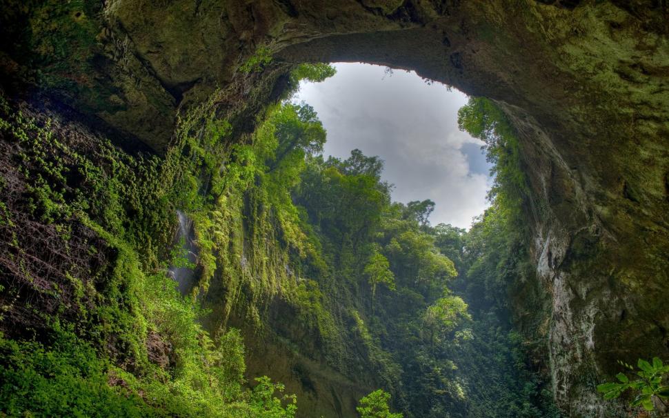 Jungle Forest Trees Cave Arch HD wallpaper,nature wallpaper,trees wallpaper,forest wallpaper,jungle wallpaper,cave wallpaper,arch wallpaper,1680x1050 wallpaper