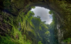 Jungle Forest Trees Cave Arch HD wallpaper thumb