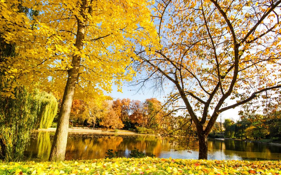 Beautiful autumn, yellow leaves, river, trees wallpaper,Beautiful HD wallpaper,Autumn HD wallpaper,Yellow HD wallpaper,Leaves HD wallpaper,River HD wallpaper,Trees HD wallpaper,2880x1800 wallpaper
