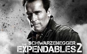 Arnold Schwarzenegger Expendables 2 wallpaper thumb