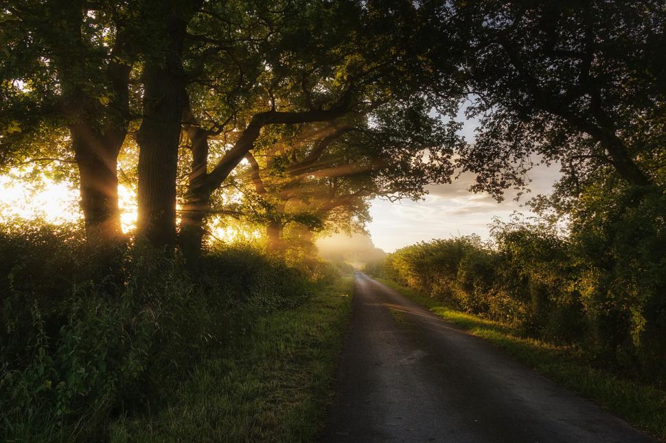 Road in sun rays nature wallpaper,Nature HD wallpaper,trees HD wallpaper,light HD wallpaper,sun HD wallpaper,rays HD wallpaper,road HD wallpaper,grass HD wallpaper,shrubs HD wallpaper,summer HD wallpaper,2048x1365 wallpaper