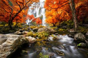 Colorful waterfall in nature wallpaper thumb