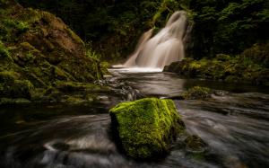Waterfall Forest River Timelapse Moss Rock Stone HD wallpaper thumb