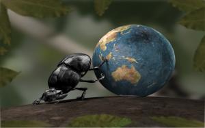 Beetle move the earth, creative pictures wallpaper thumb