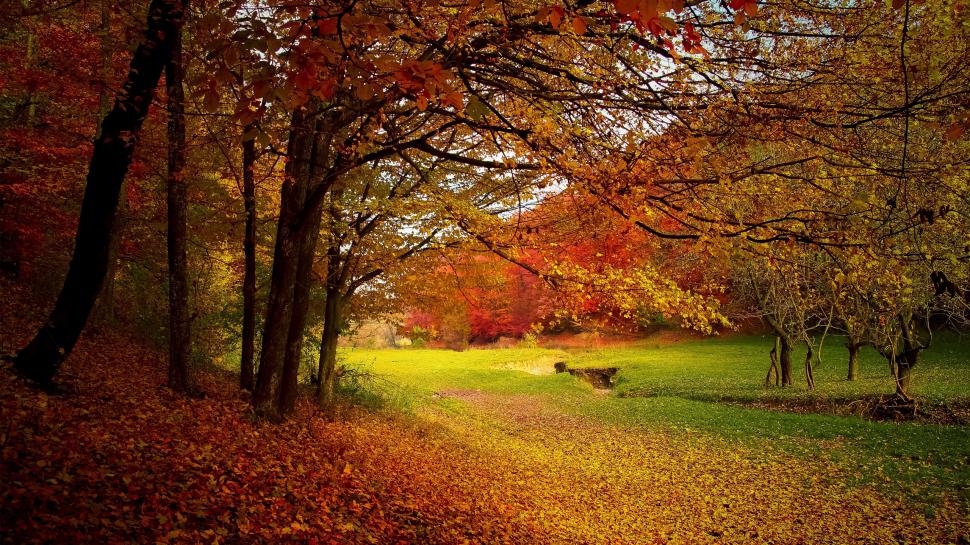 Season Autumn wallpaper,Season Autumn HD wallpaper,2560x1440 wallpaper