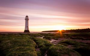 Lighthouse on mossy shore wallpaper thumb