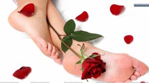 Lovely Feet & A Rose wallpaper thumb