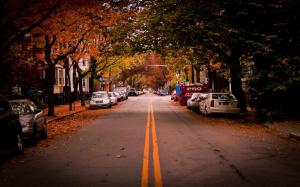 Landscapes Autumn Season Cars Leaves Roads Vehicles For Desktop wallpaper thumb