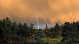 Thunder Storm Over the Forest wallpaper thumb
