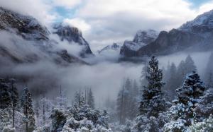 Yosemite National Park, USA, California, trees, mountains, winter, snow, fog wallpaper thumb