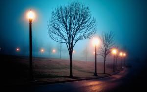 Fog, city, street, park, lights, night wallpaper thumb