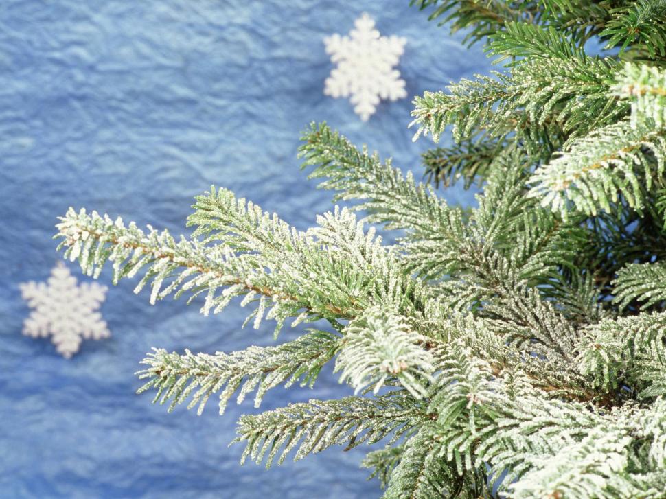Christmas, new year, fur-tree, attribute, snowflakes wallpaper,christmas wallpaper,new year wallpaper,fur-tree wallpaper,attribute wallpaper,snowflakes wallpaper,1600x1200 wallpaper