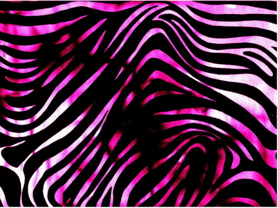 Zebra, Animal, Horse, Black And White, Dirty wallpaper,zebra wallpaper,animal wallpaper,horse wallpaper,black and white wallpaper,dirty wallpaper,1024x768 wallpaper