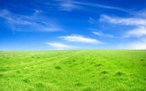 Green grass blue sky wallpaper thumb