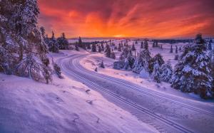 Norway, winter, snow, road, trees, sunset wallpaper thumb