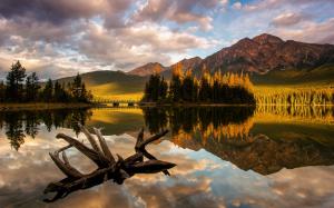 Canada, Jasper National Park, Pyramid Lake, trees, mountain, morning light wallpaper thumb