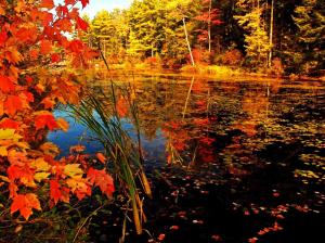 Fall Season Lake wallpaper thumb