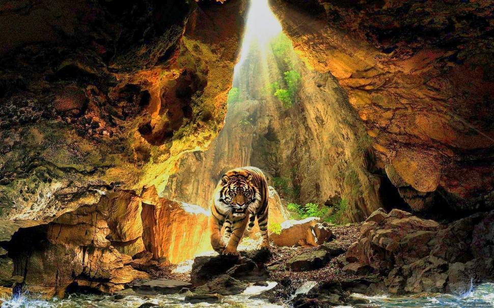 Bengal Tiger 3d wallpaper | animals | Wallpaper Better