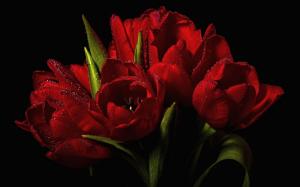 Red Tulips Bouquet wallpaper thumb