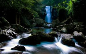 Waterfall, Rock, Forest, Nature, Landscape wallpaper thumb