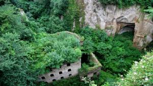 Green Overgrowth Forest Deserted Abandon Urban Decay HD wallpaper thumb