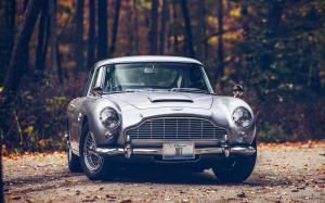 Car, Aston Martin, Aston Martin DB5, Fall, Road, Forest, 007, James Bond, Leaves wallpaper thumb