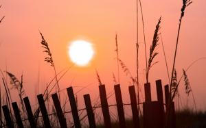 Morning sunrise, pink sky, sunshine, fence, grass wallpaper thumb