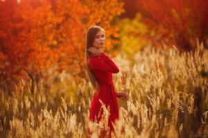 Women, Blonde, Red Dress, Field wallpaper thumb