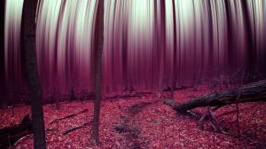 Autumn forest, purple leaves, trees, picture treated wallpaper thumb