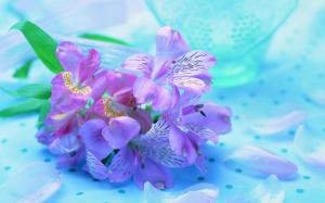 Pure Beautiful Violet Flower wallpaper thumb